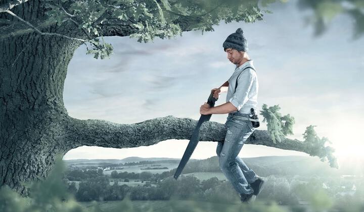 Handwerker sitzt auf einem Baum und zersägt freudig einen dicken Ast, auf dem er sitzt. Symbolbild für Fehler, die sich mit guter Planung vermeiden lassen. 